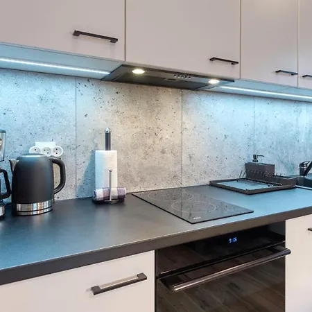 公寓 Royal Aparts Widok 800 - Z Panorama Gor 斯克拉斯卡波伦巴